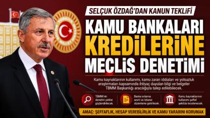 Kamu Bankaları Kredileri İçin Meclis Denetimi Teklifi