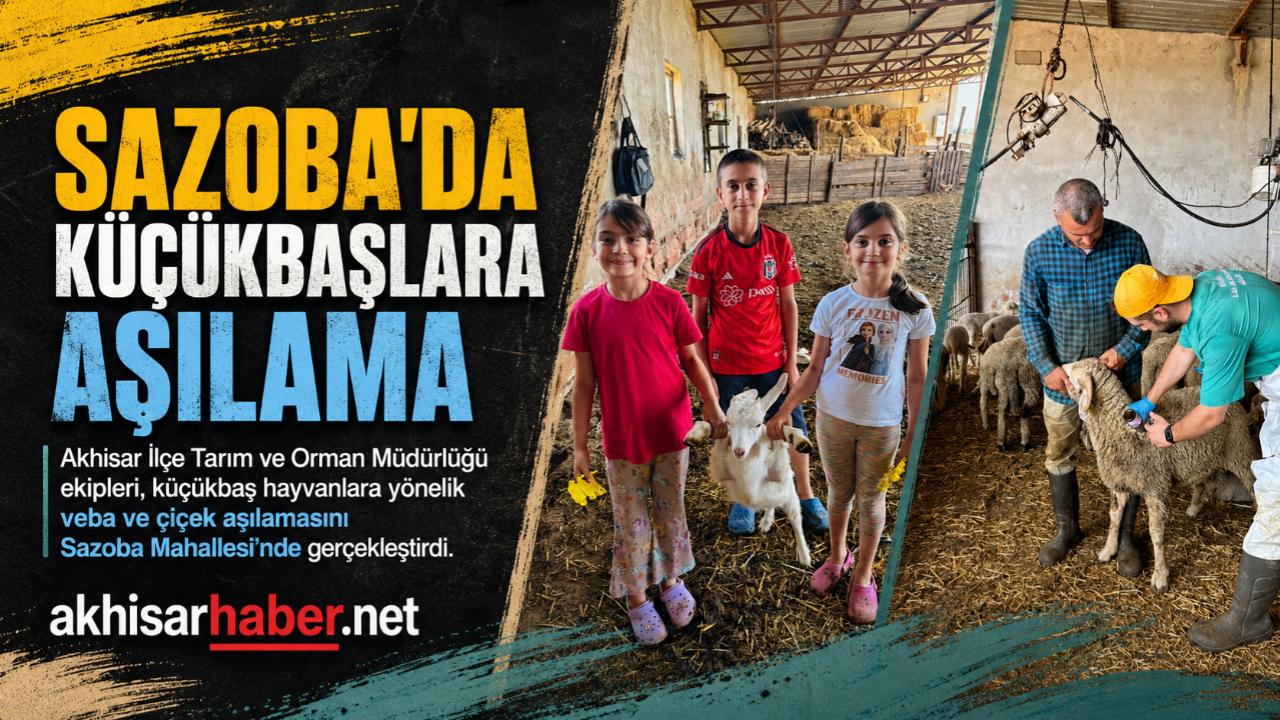 Sazoba’da Küçükbaş Hayvanlara Veba ve Çiçek Aşısı Yapıldı