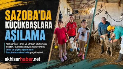 Sazoba’da Küçükbaş Hayvanlara Veba ve Çiçek Aşısı Yapıldı