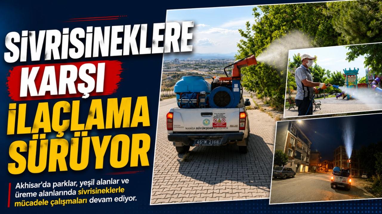 Sivrisineklere Karşı İlaçlama Sürüyor