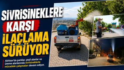 Sivrisineklere Karşı İlaçlama Sürüyor