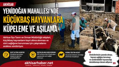 Yenidoğan Mahallesi’nde Küçükbaş Hayvanlara Küpeleme ve Aşılama Çalışması