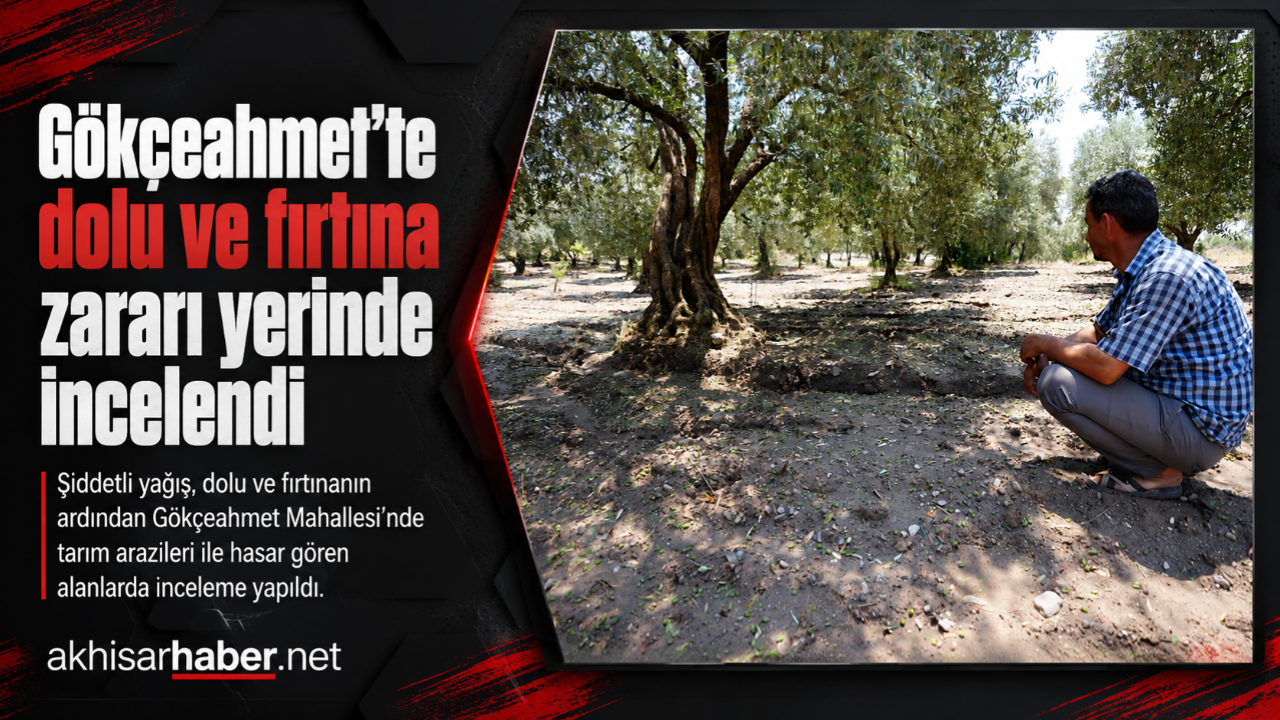 Gökçeahmet’te Dolu ve Fırtına Zararı Yerinde İncelendi