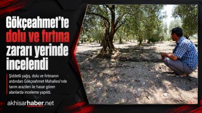 Gökçeahmet’te Dolu ve Fırtına Zararı Yerinde İncelendi